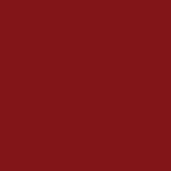 Rojo Frambuesa Satinado 340 gr